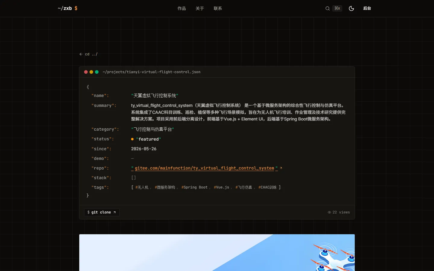 项目详情 / JSON manifest